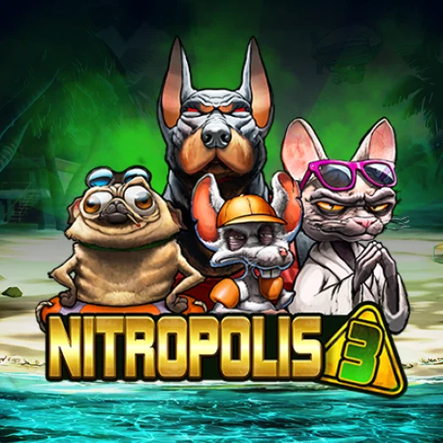 Nitropolis 3 slot cover